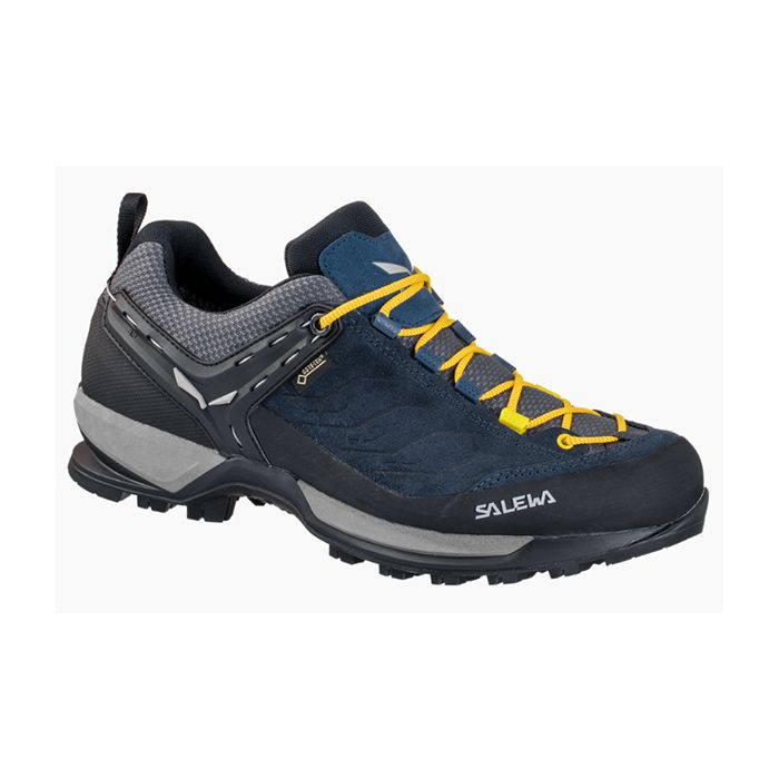 Salewa mtn trainer gtx men online