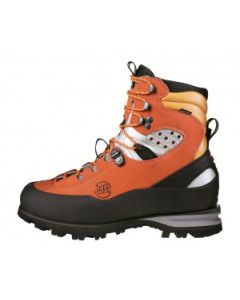Friction GTX Bergschuh Herren