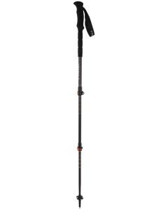 Backcountry Pro 2.0 Trekkingstock