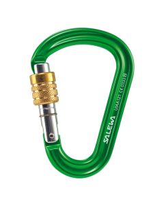 HMS Pro Carabiner Sicherungskarabiner