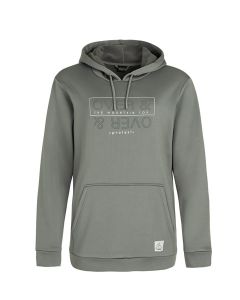PRTTWIG hoody Damen 