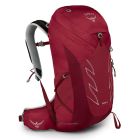 Talon 26 Wanderrucksack Herren