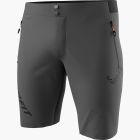 Transalper Light Dynastretch Shorts Herren