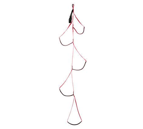 BLACK DIAMOND ALPINE AIDER 0 No Color -